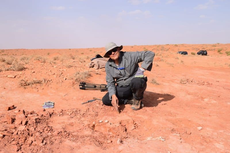 Voyage dans l’Anti-Atlas des créatures du monde marin disparu