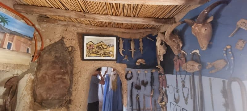 Tourisme durable. L’oasis de Tighmert, un site naturel et culturel à préserver