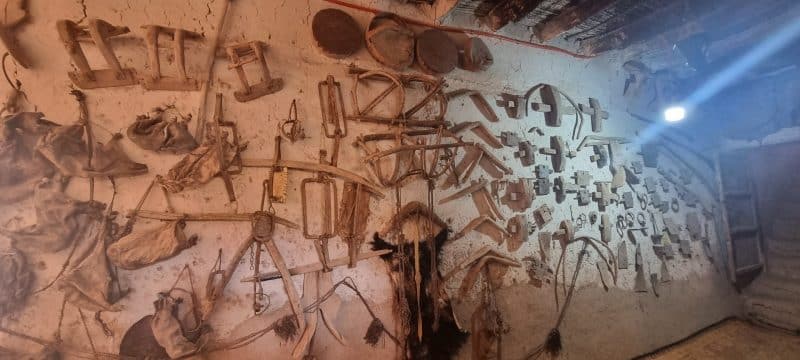 Tourisme durable. L’oasis de Tighmert, un site naturel et culturel à préserver