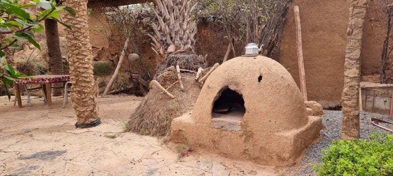 Tourisme durable. L’oasis de Tighmert, un site naturel et culturel à préserver