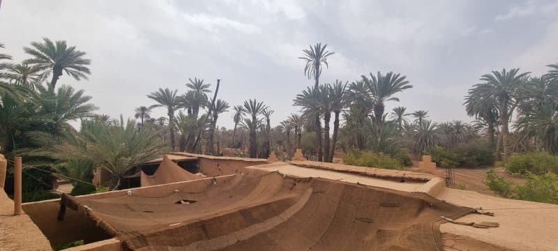Tourisme durable. L’oasis de Tighmert, un site naturel et culturel à préserver