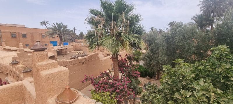 Tourisme durable. L’oasis de Tighmert, un site naturel et culturel à préserver