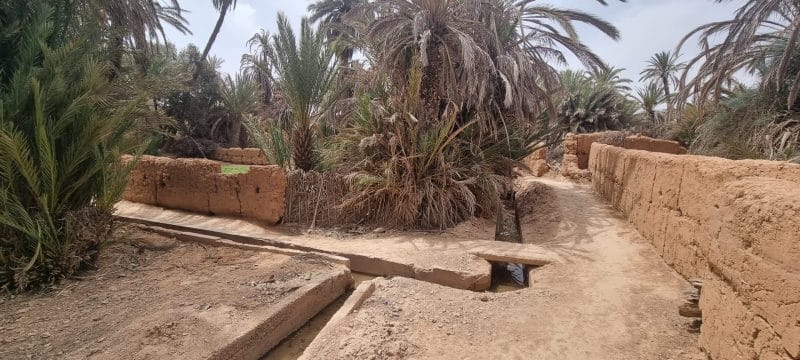 Tourisme durable. L’oasis de Tighmert, un site naturel et culturel à préserver