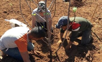 Mehdi Bensaid va lancer des bootcamps agricoles pour former les jeunes ruraux