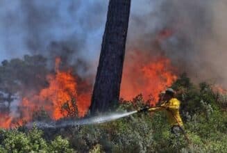 Six feux de forêt au Maroc en 24 heures