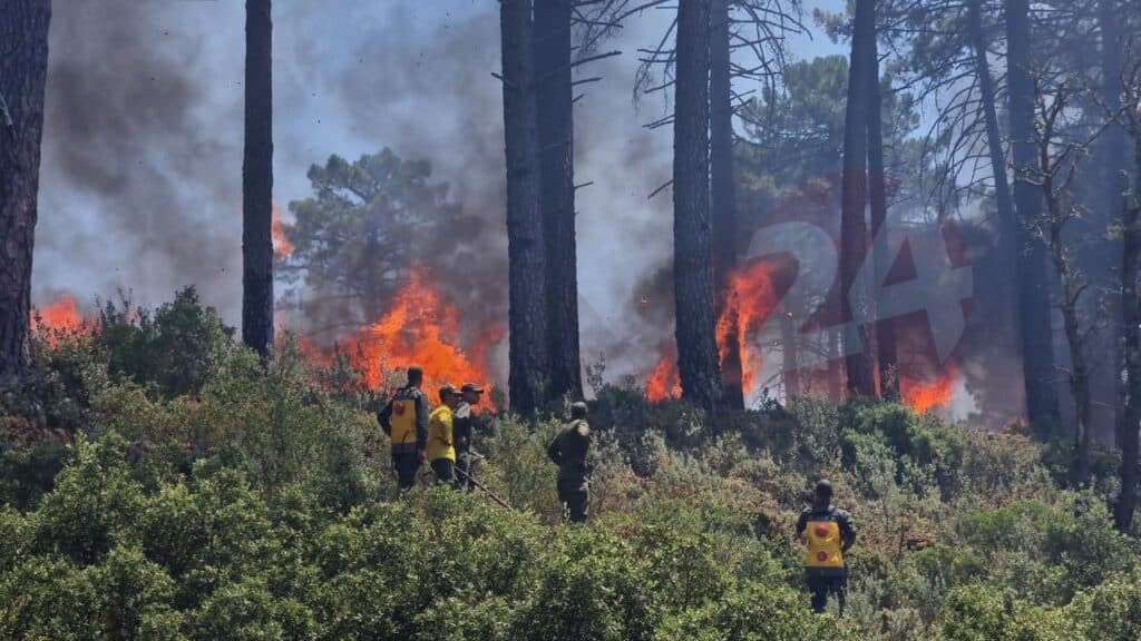 Près de 100 hectares ravagés par les feux dans la forêt de Jbel Kharbouch à Chefchaouen