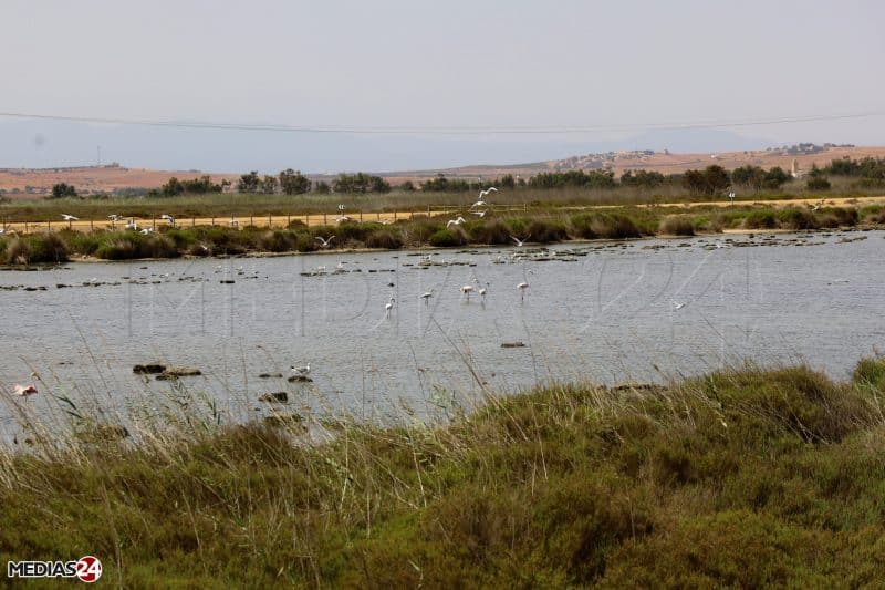 La stratégie de Saïdia Resorts pour devenir une destination touristique de choix tout au long de l'année