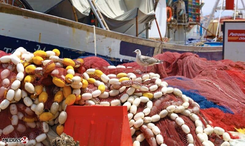 Oriental. Dans l’arrière-pays, vallées, plages et grottes préhistoriques