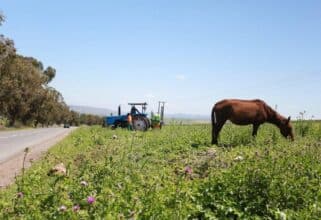 ANALYSE. Sous l’effet des aléas climatiques, l’agriculture reste le talon d’Achille de la croissance économique