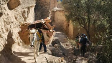 Séisme. Reportage à Tafraouten où la dignité et la résilience ont pris le pas sur la désolation