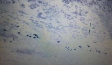 Grâce à un drone, cinq bergers isolés retrouvés après 72h de recherche dans le Haut Atlas