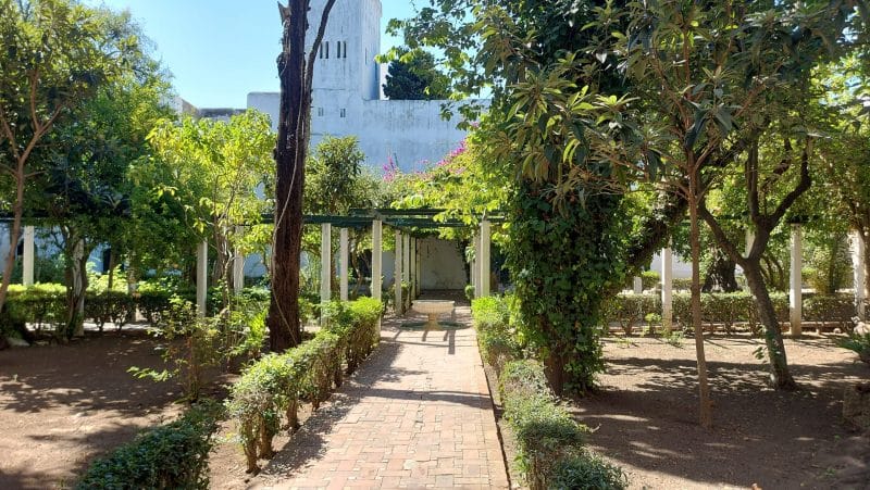 À Tanger, retour sur l'histoire oubliée du premier musée au Maroc (Entretien avec Ech cherki Dahmali)