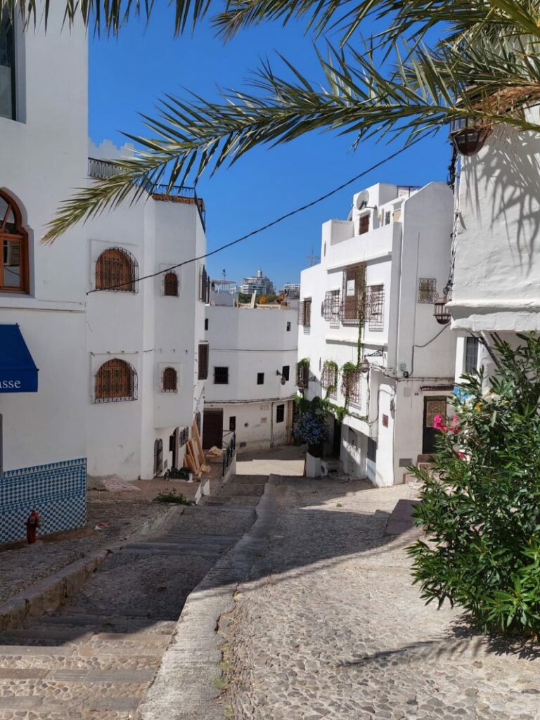 À Tanger, retour sur l'histoire oubliée du premier musée au Maroc (Entretien avec Ech cherki Dahmali)