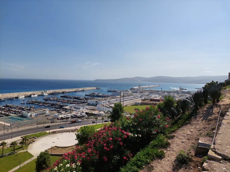 À Tanger, sur les pas de Delacroix, comme si vous y étiez (entretien avec Rachid Taferssiti)