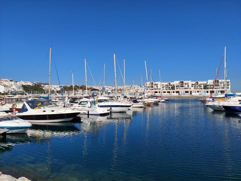 À Tanger, sur les pas de Delacroix, comme si vous y étiez (entretien avec Rachid Taferssiti)