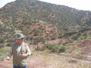 Séisme: risques, enseignements, explications... un tour d'horizon avec le Pr Fida Medina