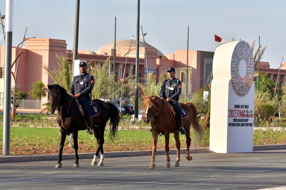 Un effectif de 6.500 policiers mobilisés par la DGSN pour sécuriser les Assemblées annuelles FMI-BM
