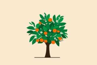 Green Village ouvre son troisième point de vente à Casablanca