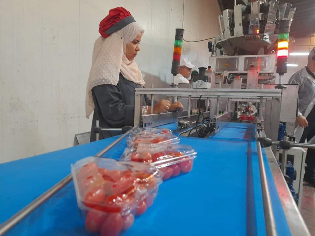 Reportage. Comment Morocco Foodex séduit les importateurs européens de fruits et légumes