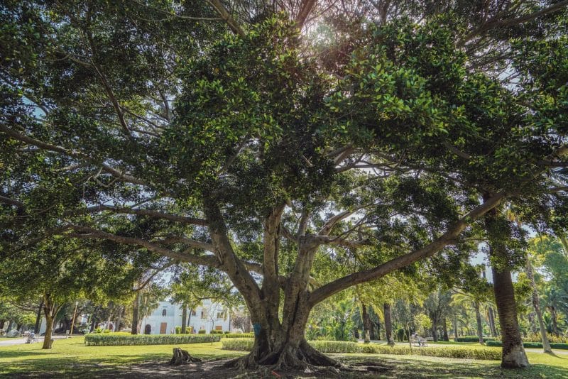 Tanger. Comment la ville du détroit redessine sa toile touristique
