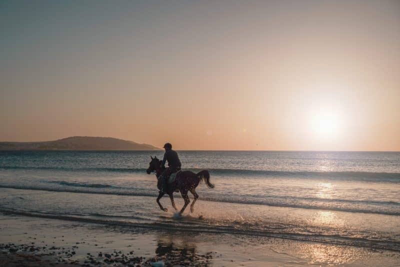 Tanger. Comment la ville du détroit redessine sa toile touristique