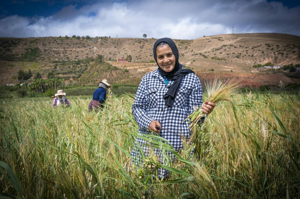 Emploi rural. Quand les fluctuations saisonnières cachent un déclin structurel