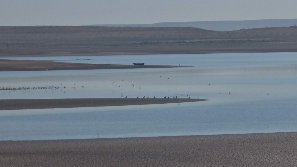 Voici les barrages qui ont le plus profité des dernières pluies