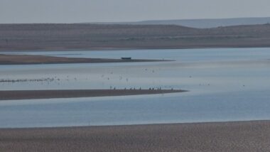Légère progression des taux de remplissage des barrages agricoles (images satellite et Data)