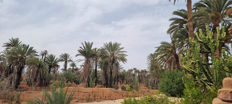 Guelmim. Les portes ouvertes vers la magie du désert