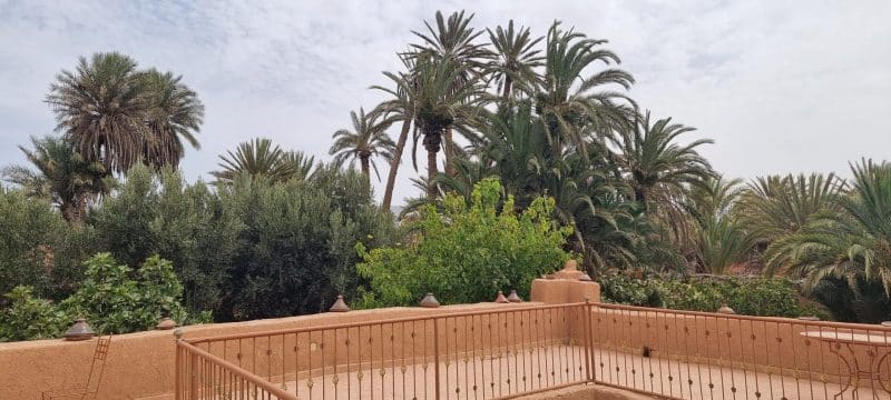 Guelmim. Les portes ouvertes vers la magie du désert