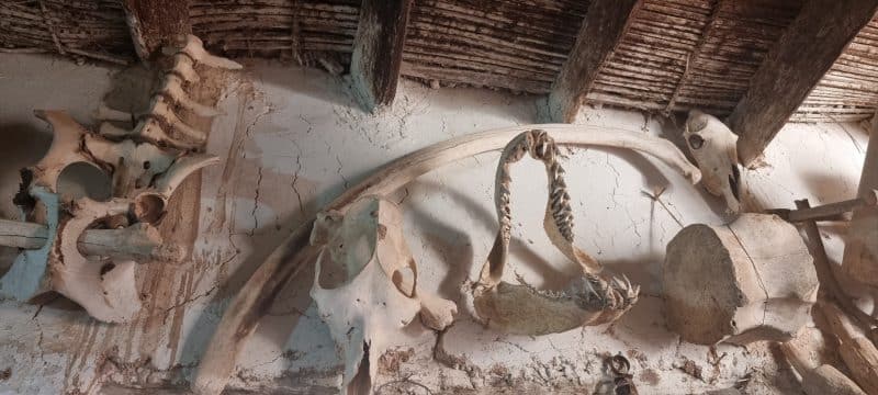 Guelmim. Les portes ouvertes vers la magie du désert