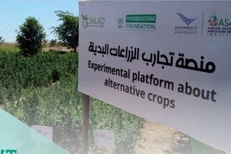La Fondation Phosboucraâ dresse le bilan de ses actions pour le développement des régions du Sud
