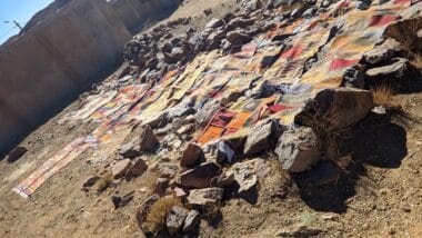 Dans le massif de Siroua, le tapis de Taznakht victime collatérale des changements climatiques