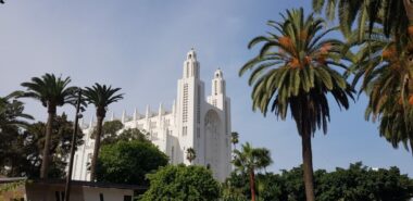 La plantation des palmiers Washingtonia désormais interdite à Casablanca