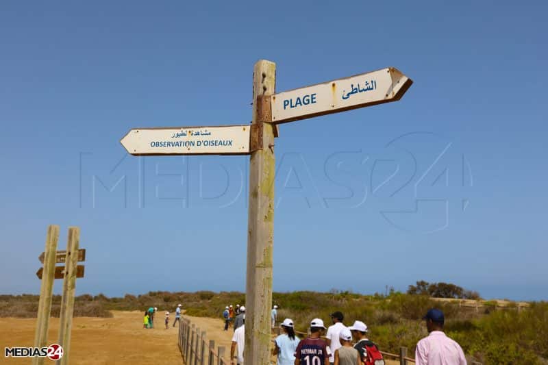 L’embouchure de la Moulouya. Escapade méditerranéenne entre eaux turquoise et flamants roses