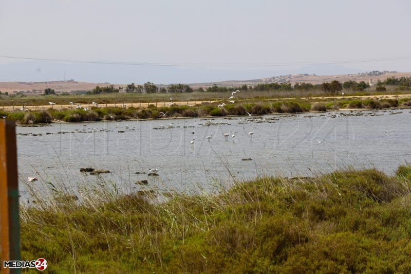L’embouchure de la Moulouya. Escapade méditerranéenne entre eaux turquoise et flamants roses