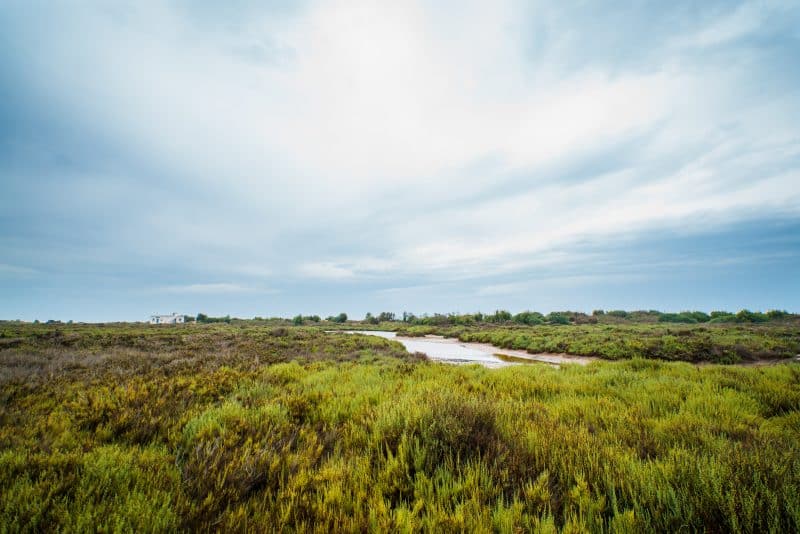 L’embouchure de la Moulouya. Escapade méditerranéenne entre eaux turquoise et flamants roses