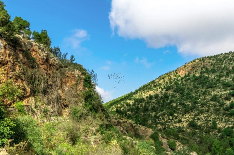 L’embouchure de la Moulouya. Escapade méditerranéenne entre eaux turquoise et flamants roses