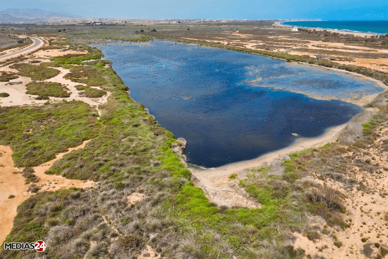 L’embouchure de la Moulouya. Escapade méditerranéenne entre eaux turquoise et flamants roses