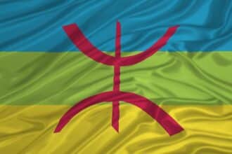 Le tamazight enfin introduit dans Google Traduction