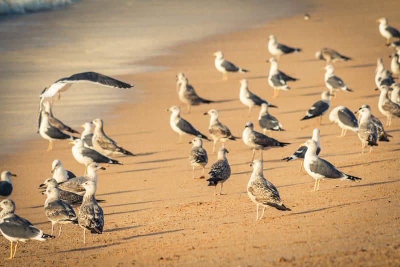 Hassan Bargach : &ldquo;La région de Rabat offre un mix touristique exceptionnel entre tradition, authenticité et modernisme&rdquo;