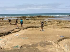 Découverte à Larache des plus anciennes empreintes humaines en Afrique du Nord, datant d’environ 100.000 ans
