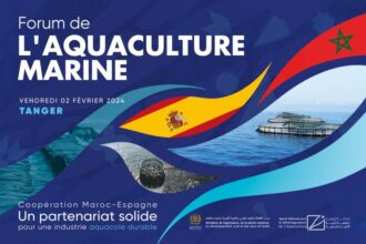 Tanger abritera la 3e édition du Forum national de l’aquaculture marine ce vendredi 2 février