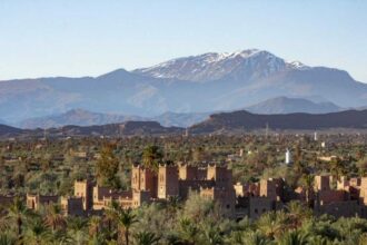 Drâa-Tafilalet. Quand les oasis détrônent les mirages