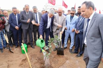 Cultures résilientes : deux nouveaux projets agricoles à Marrakech-Safi pour près de 40 MDH