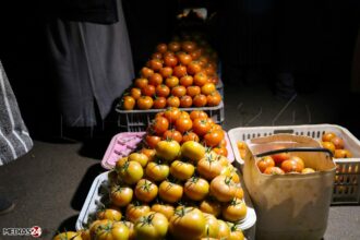 Marché de gros à Casablanca : les prix des tomates en hausse