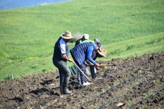Agriculture et climat: l'impact est visible, la résilience est possible (Mostafa Errahj)