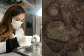 Une étude dévoile la prédominance du régime alimentaire végétarien chez les anciennes populations de Taforalt