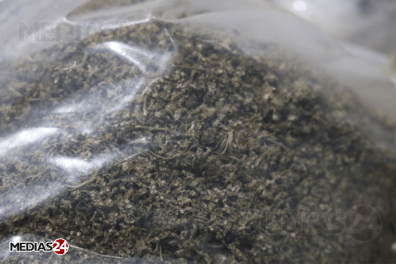 Reportage. Au cœur de Biocannat, l’usine de transformation de cannabis légal