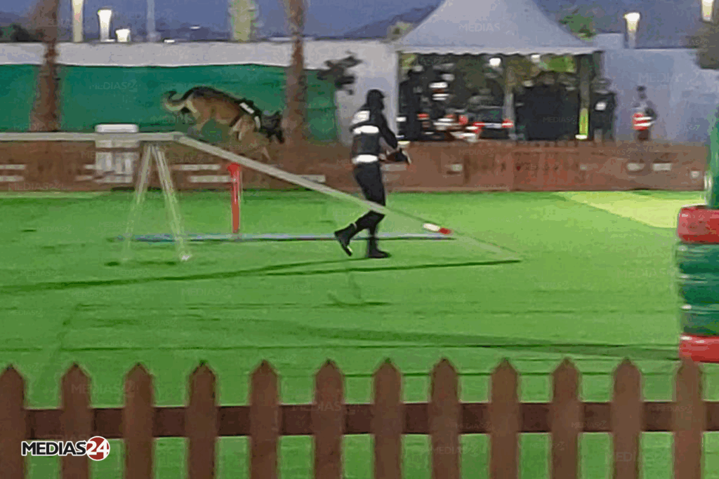 La DGSN célèbre son 68e anniversaire à la veille des Journées portes ouvertes (images et vidéos)